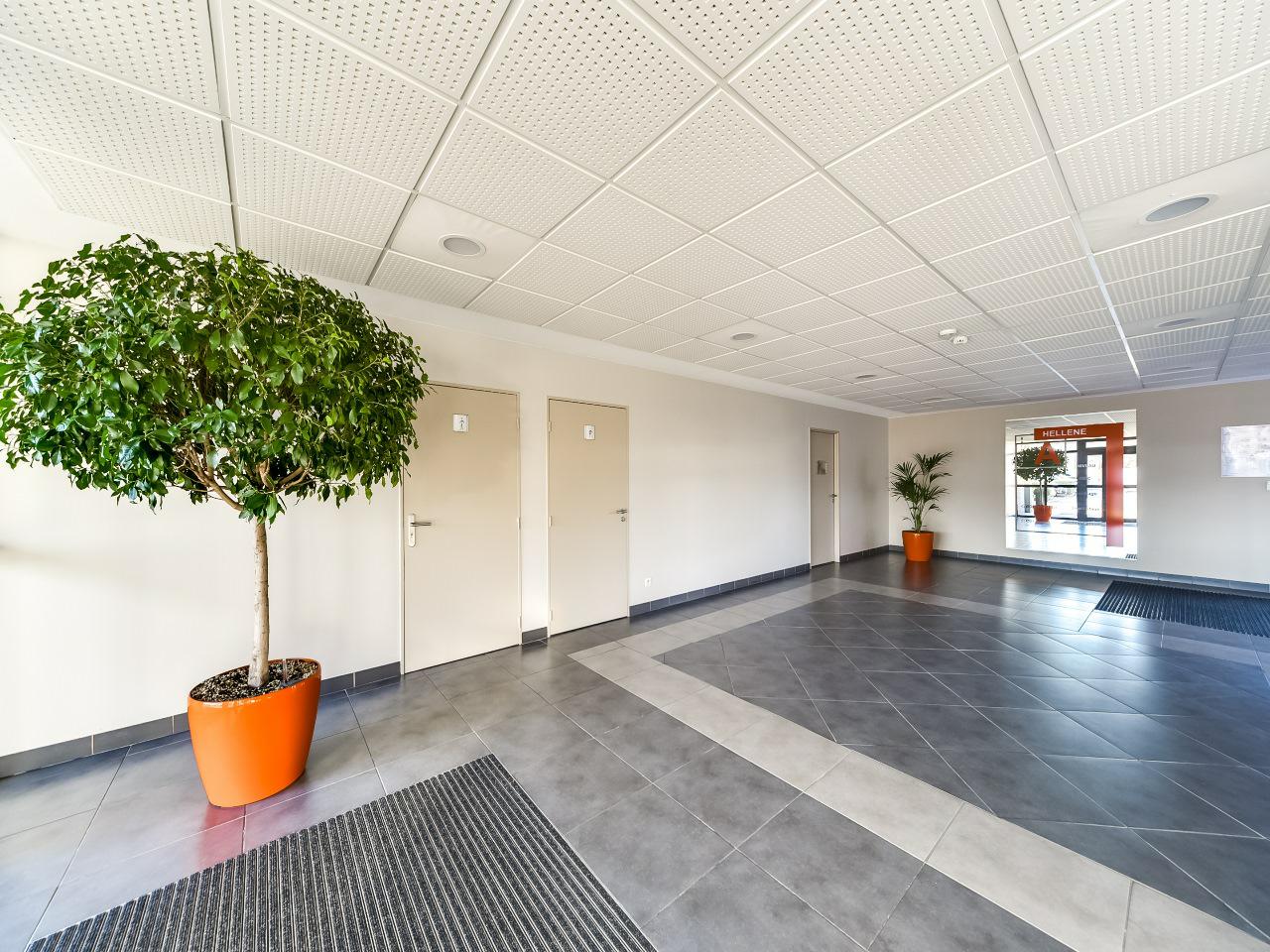 Bureau Montpellier 243m² Location bureau Montpellier Hérault OLBUR2310984 3